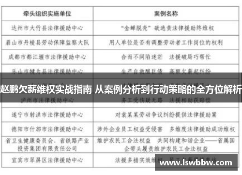 赵鹏欠薪维权实战指南 从案例分析到行动策略的全方位解析