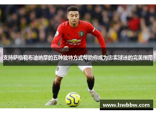 支持萨格勒布迪纳摩的五种独特方式帮助你成为忠实球迷的完美指南